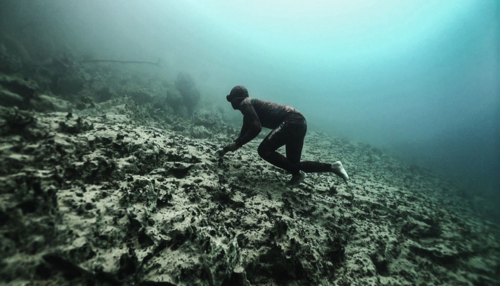 Free Dive
