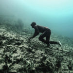 Free Dive